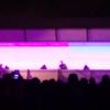 Dekmantel 13